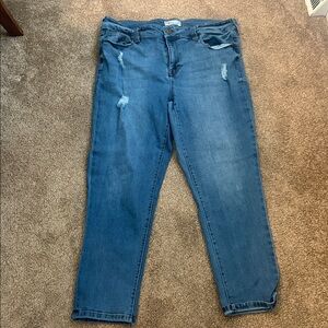 Blue Distressed Jeans